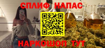 спиды Боровичи