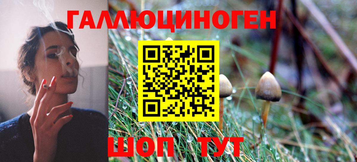Псилоцибиновые грибы Psilocybe  Вход с VPN  Шарыпово 
